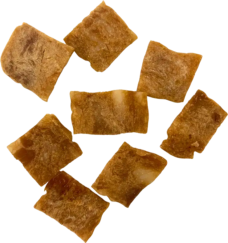 FDチャーシューPC20