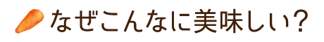 なぜこんなに美味しい？